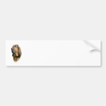 Bloodhound 9Y404D-135 Bumper Stickers