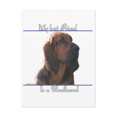 Bloodhound Best Friend 2 Postcard by GreyWolfCreation