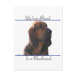 Bloodhound Best Friend 2 Postcard