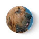 Bloodhound Pin