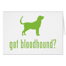 Bloodhound Card