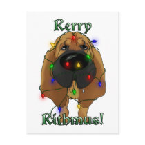 Bloodhound - Christmas Lights Postcard