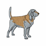 Bloodhound