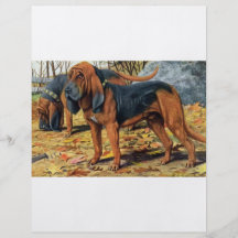 Bloodhound Flyer Design