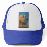 Bloodhound Hats