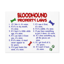 BLOODHOUND Property Laws 2