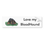 bloodhound puppy bumper sticker