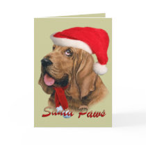 Bloodhound Santa Christmas Cards