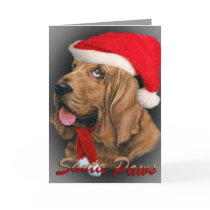 Bloodhound  Santa Paws cards