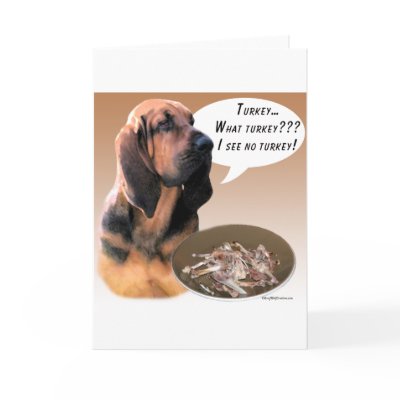 Bloodhound Turkey Cards by GreyWolfCreation