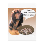 Bloodhound Turkey Post Cards