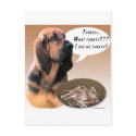 Bloodhound Turkey postcards