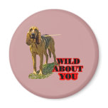 Bloodhound Wild About