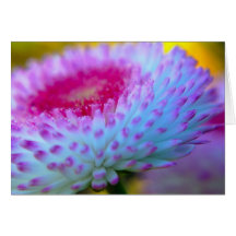 Bloom Flower Card