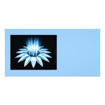 Bloom In Blue - Photo Card