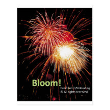 Bloom Postcard