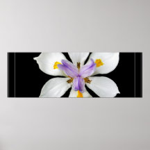 Bloom Poster