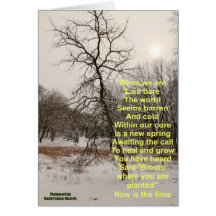 Bloom where you are planted cards