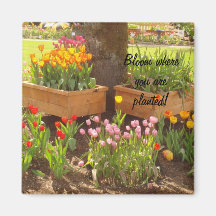 Bloom where you are planted! refrigerator magnets