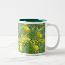 Bloom Where You Are Planted, Yellow Ladyslipper Mugs
