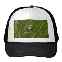 Bloomflower II Mesh Hat