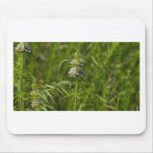 Bloomflower Mouse Pads