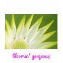 Bloomin' Gorgeous T-Shirt