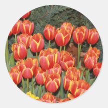 Bloomin' Tulips! Sticker