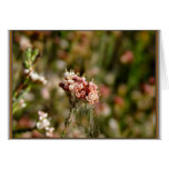 Blooming beautiful greeting card