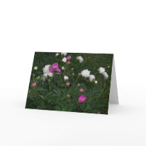 BLOOMING FLOWERS GREETING CARD