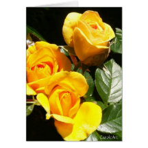 Blooming Golden Roses Greeting Cards