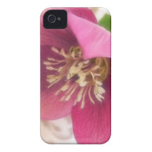 Blooming Hellebore Flower Case-Mate iPhone 4 Case