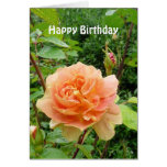 Blooming Peach Rose Flower Birthday Template Card