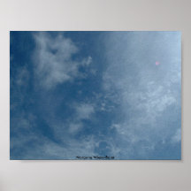 Blooming Posters