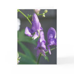 Blooming Purple Delphinium Greeting Card