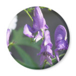 Blooming Purple Delphinium Magnet