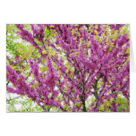 Blooming tree greeting card
