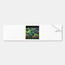 Blooming Winter Chrysanthemums on Park Avenue Bumper Sticker
