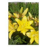 Blooming Yellow Flowers Cards