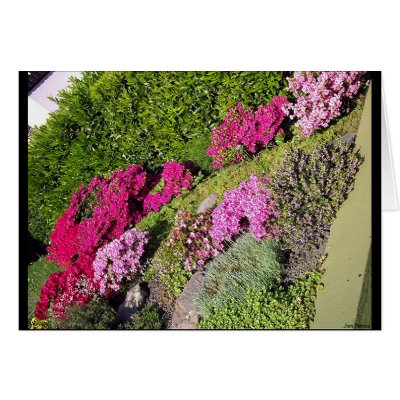 Bloomy Gardens 3 Card by janMarco