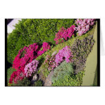 Bloomy Gardens 3 cards