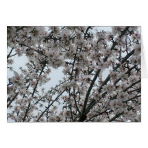 Blossom#6 Card