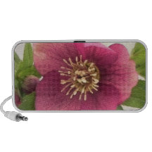 Blossom - Hellebore Close Up Travelling Speaker