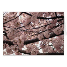 Blossom Notecards