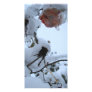 Blossom of Snow Photo Cards