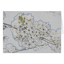 Blossom Sketch Greeting Cards