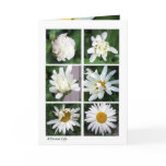 Blossomed cards