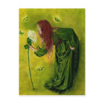 Blossoming Beauty flower Postcard