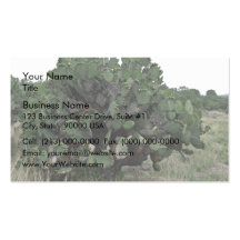 Blossoming cactus in green landscape business card