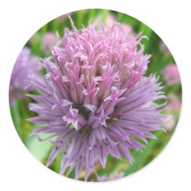 Blossoming Chives Stickers